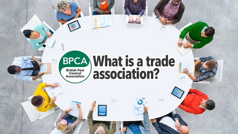 What is a trade association and should you join one?