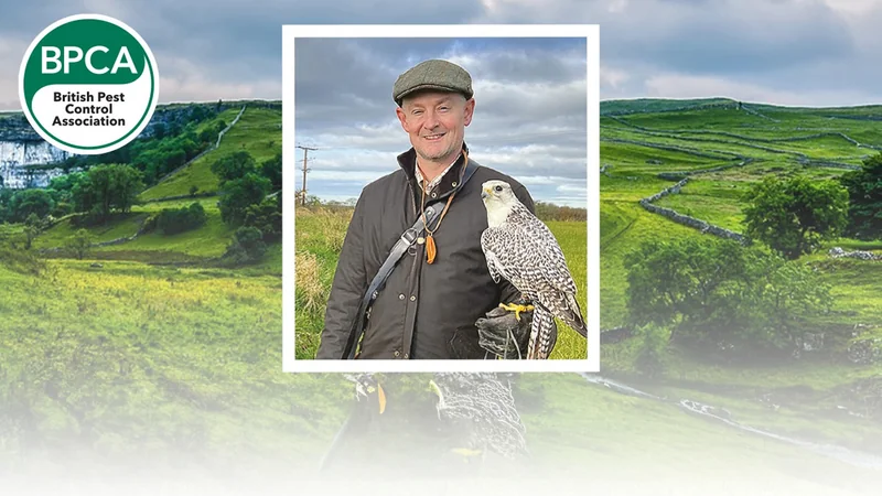 Meet the member: Paul Gill, Hawk expert