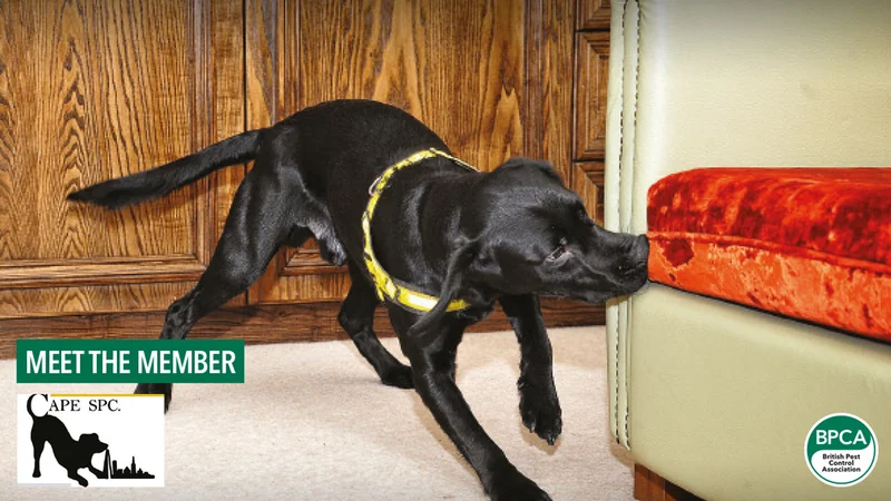 It’s a dog’s life with Cape SPC