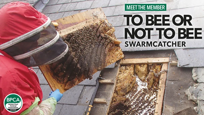 To bee or not to bee